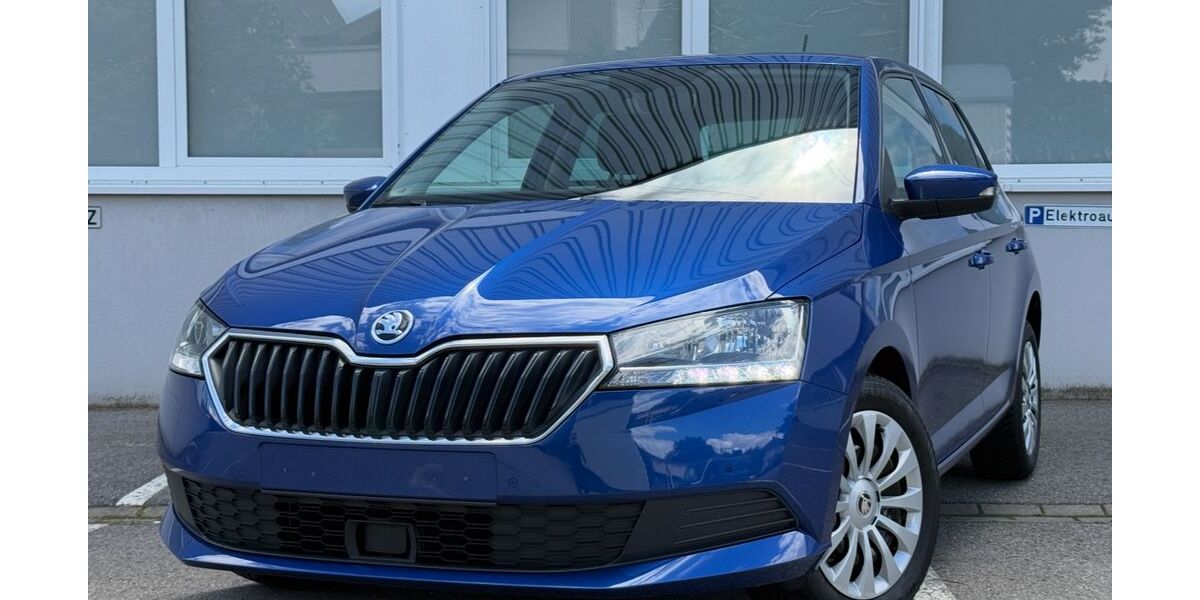Skoda Fabia 58.199 km 9.900 &euro; Mühlacker 75417
