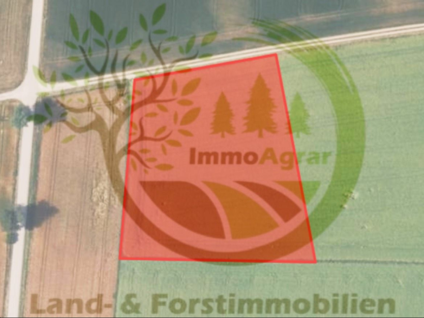 Grundstück in Schiltberg 118.000 € 7881 m²