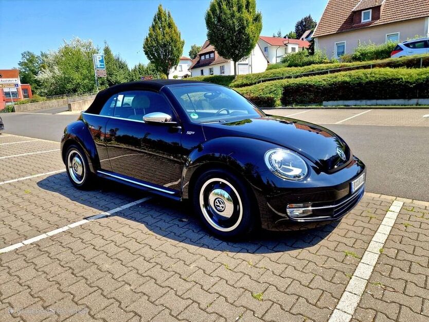 Beetle