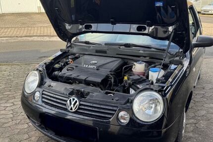 VW Lupo