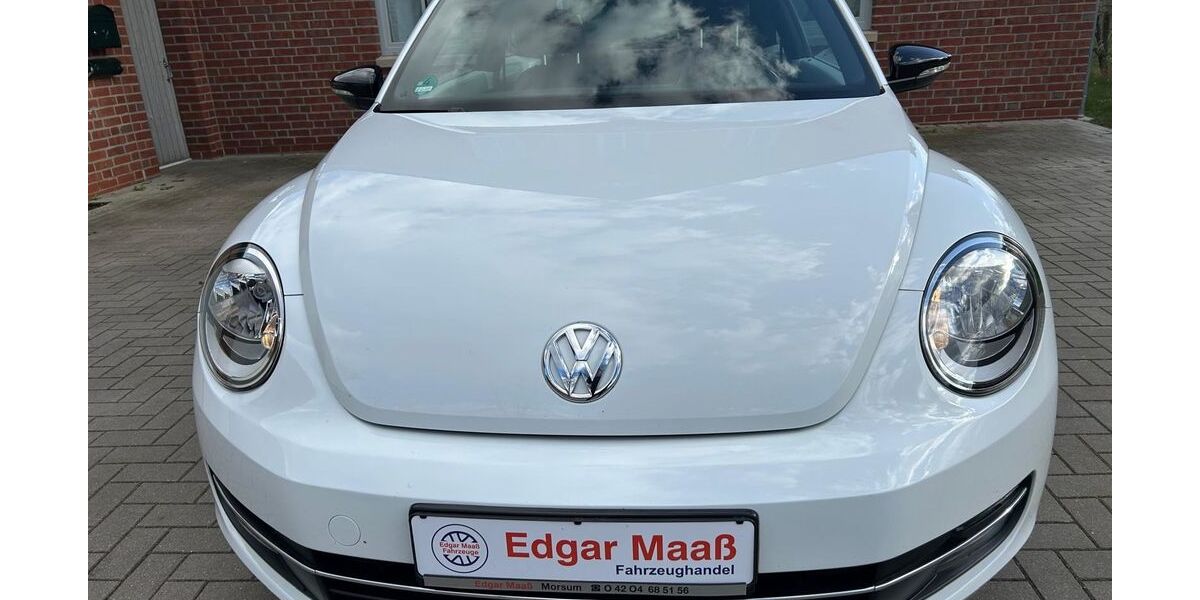VW Beetle 50.042 km 14.999 &euro; Thedinghausen-Morsum 27321