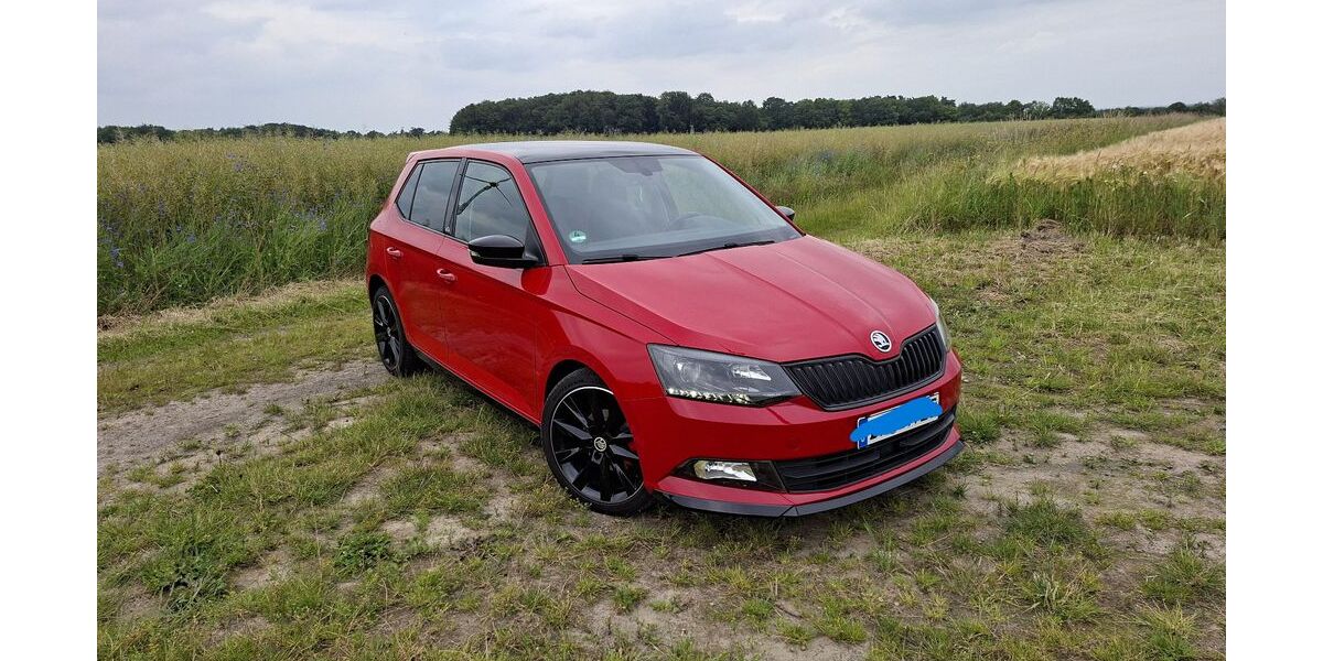 Skoda Fabia 97.000 km 8.599 &euro; Weyhe 28844