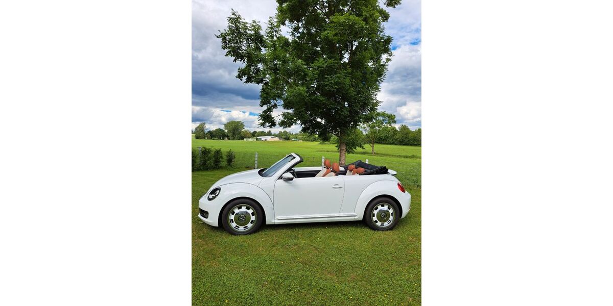 VW Beetle 65.153 km 21.500 &euro; Bosau 23715
