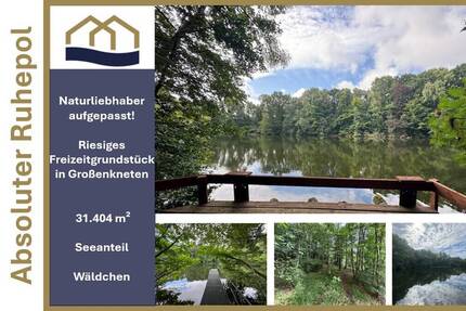 Exklusive Seeliegenschaft in Großenkneten 31.404m² Naturidyll mit privatem Steg und eigenem Wäldchen zimmer
