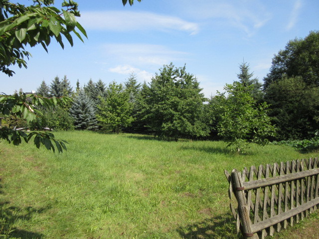 Grundstück mit traumhaft ruhiger Lage für Ihr Traumhaus – bauträgerfrei ! - Grundstück Erlau Beerwalde | Angebot:23439159