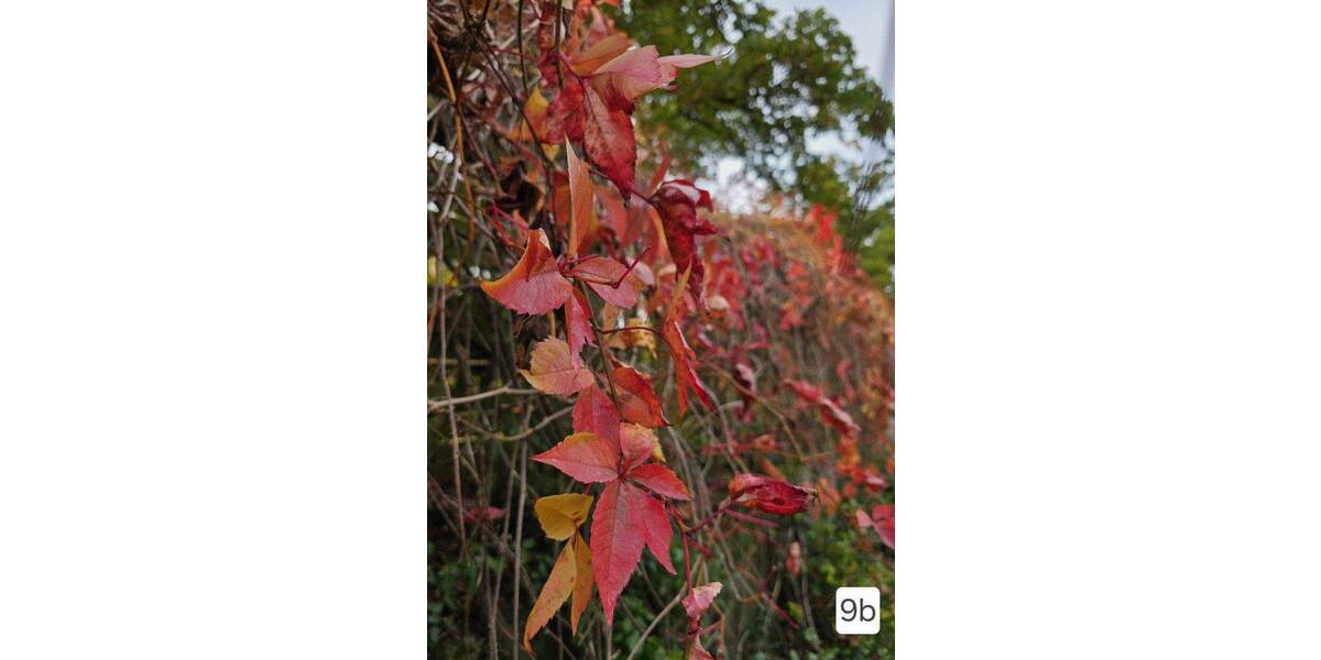 Einfamilienhaus Uelzen Hansen - 1 Zimmer, 219 m&sup2;, 295.000&euro; | Angebot:25934076