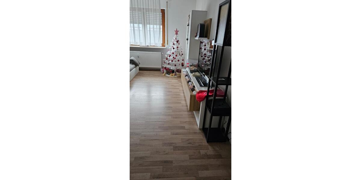 5 Familienhaus inkl. Penthaus-Wohnung mit Gewerbehalle 13 zimmer