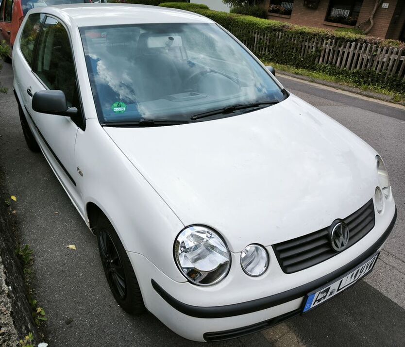 Polo