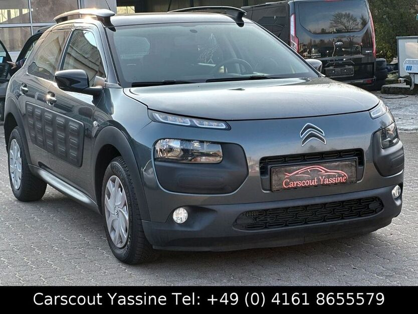 C4 Cactus