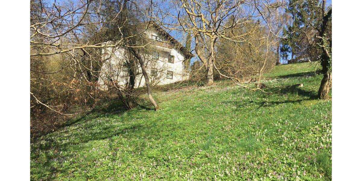 Grundstück Waldeck - 59.000&euro; | Angebot:25737996