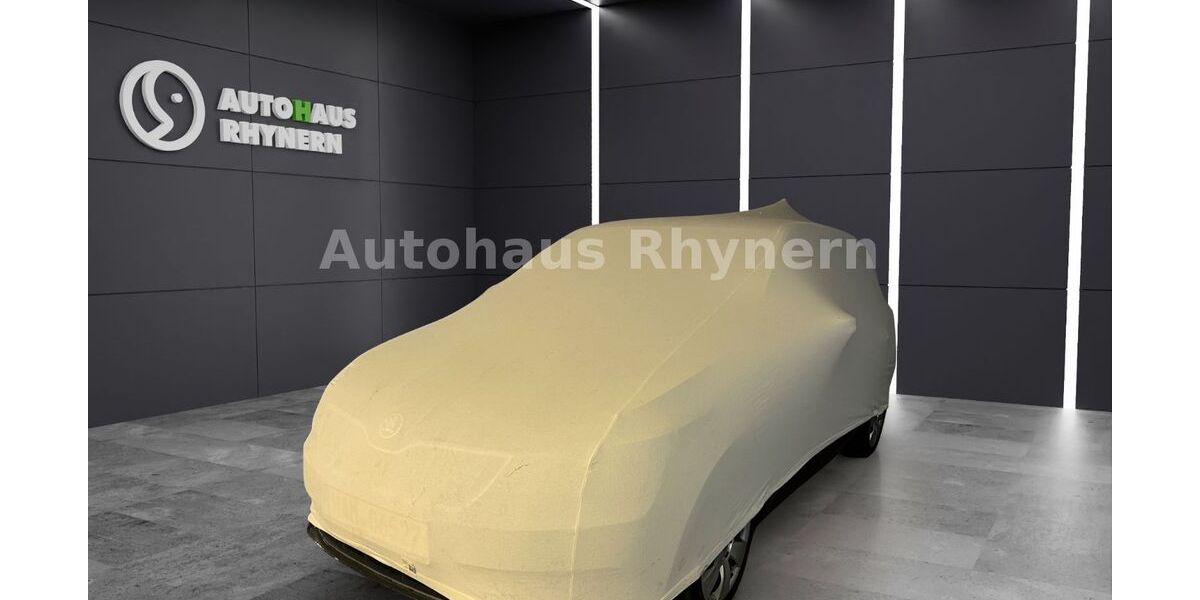 Skoda Fabia 39.500 km 17.890 &euro; Hamm 59069