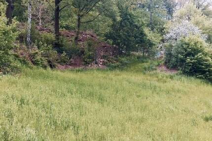 Bauplatz für EFH in Tharandt Innenstadt zimmer