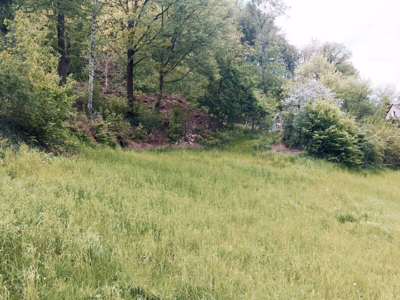 Bauplatz für EFH in Tharandt Innenstadt zimmer