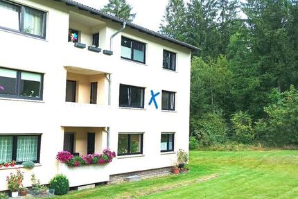 4 Zimmer-Wohnung mit 2 Balkone in Clausthal-Zellerfeld 4 zimmer