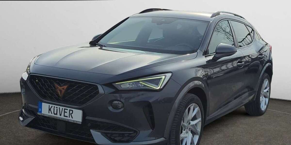 Cupra Formentor 97.800 km 19.848 &euro; Hagen 27628