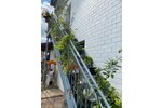 Neuenstein-OT, EFH -Reserviert- - Einfamilienhaus Raboldshausen Raboldshausen | Angebot:19959241