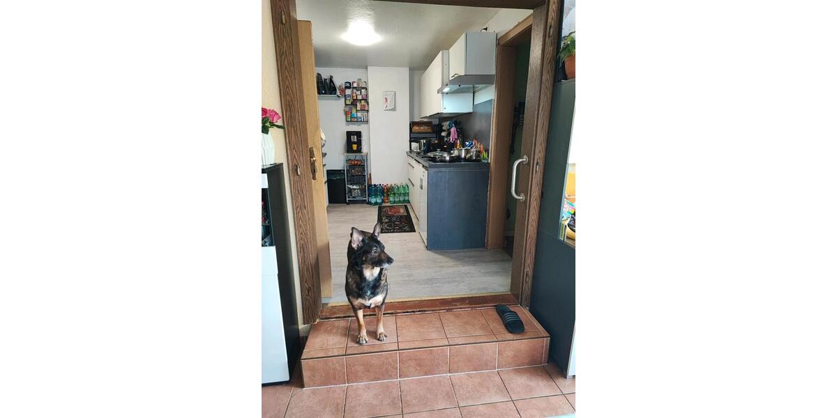 Doppelhaushälfte Magdeburg Großer Silberberg - 4 Zimmer, 116 m&sup2;, 280.000&euro; | Angebot:25417674