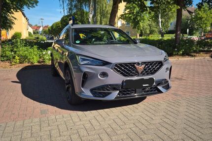 Cupra Formentor 77.000 km 22.999 &euro; Wrestedt 29559