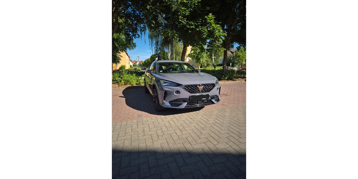 Cupra Formentor 77.000 km 22.999 &euro; Wrestedt 29559