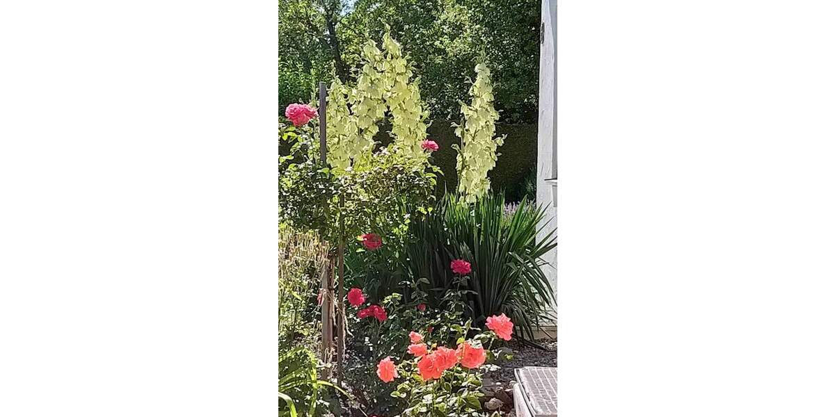 Einfamilienhaus Dießen St. Georgen - 5 Zimmer, 130 m&sup2;, 1.125.000&euro; | Angebot:25797007