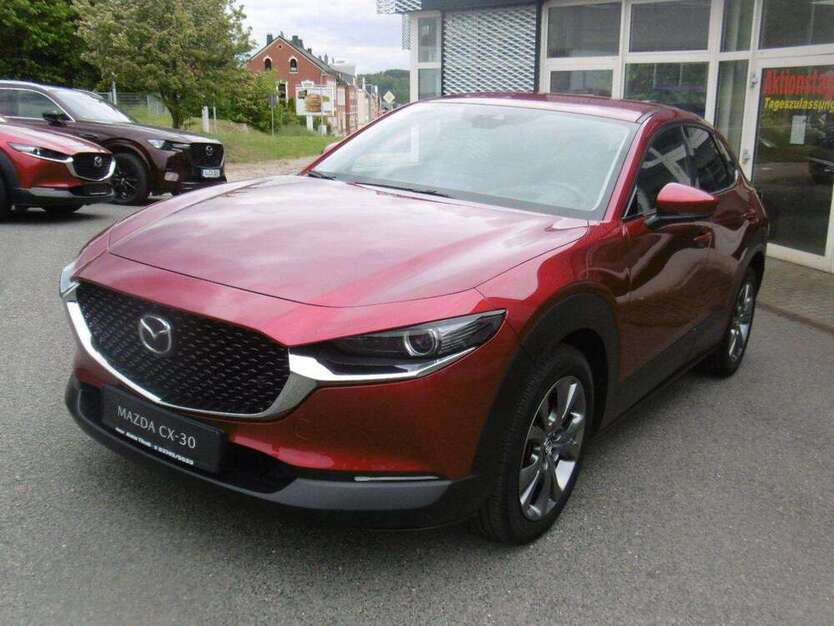 CX-30
