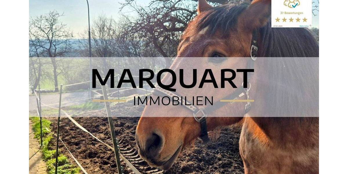 Mehrfamilienhaus, Wohnhaus Schlüchtern Klosterhöfe - 1 Zimmer, 284 m&sup2;, 379.000&euro; | Angebot:26079909