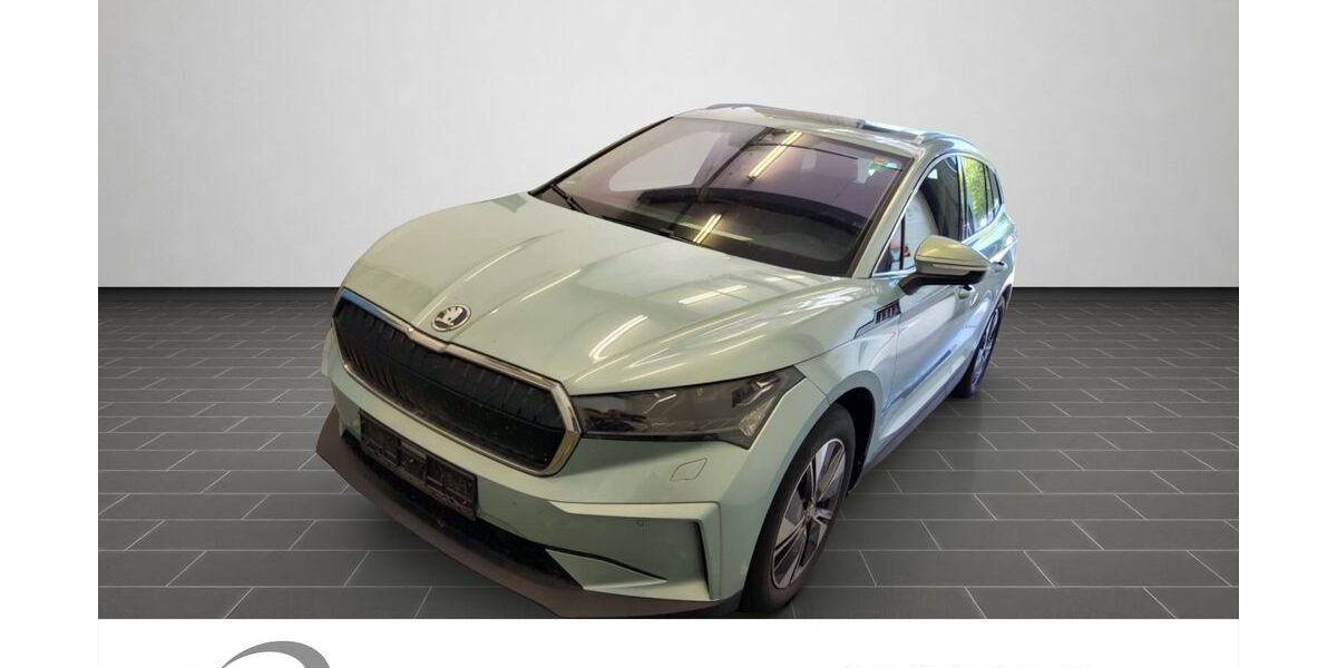 Skoda Enyaq 102.506 km 30.980 &euro; Mainz 55129