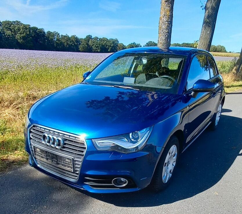A1