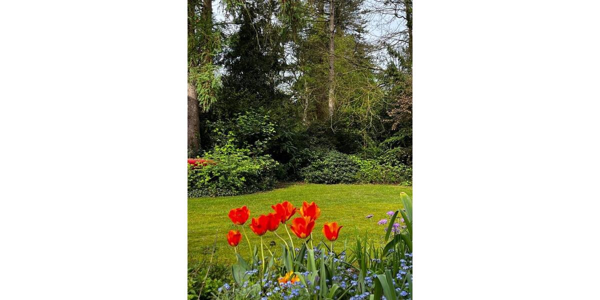 Bungalow Bremen Blockland - 8 Zimmer, 180 m&sup2;, 750.000&euro; | Angebot:26613745