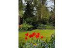 Bungalow Bremen Blockland - 8 Zimmer, 180 m&sup2;, 750.000&euro; | Angebot:26613745