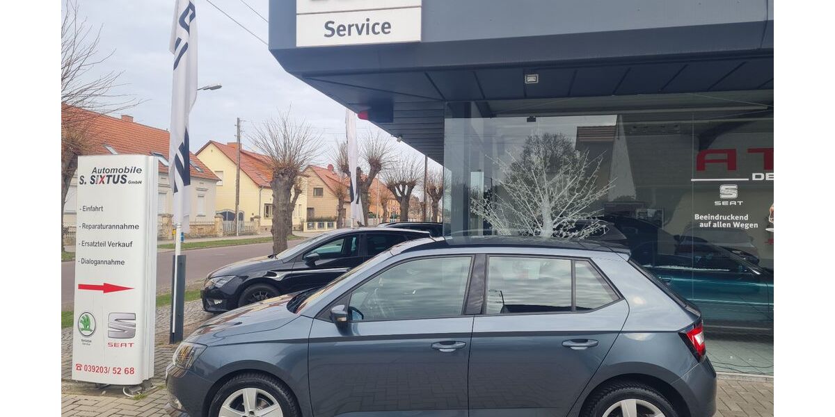 Skoda Fabia 101.150 km 8.290 &euro; Barleben 39179