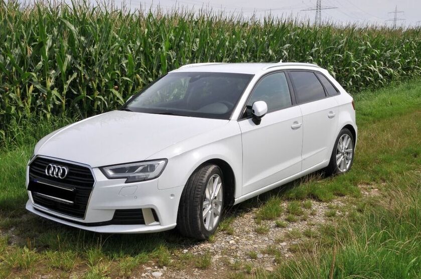 A3