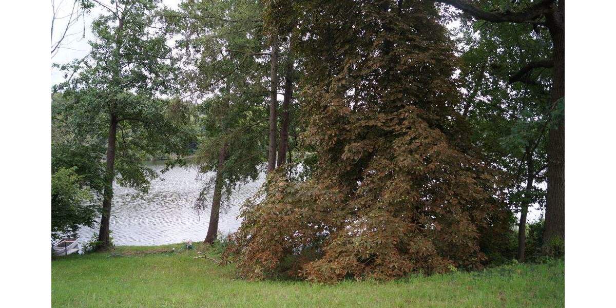 Grundstück Mittenwalde / OT Schenkendorf-Krummensee Krummensee - 799.000&euro; | Angebot:25663576