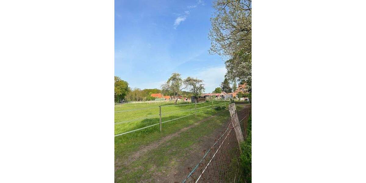 Gewerbeobjekt Dahlenburg / Lemgrabe Lemgrabe - 899.000&euro; | Angebot:25834964