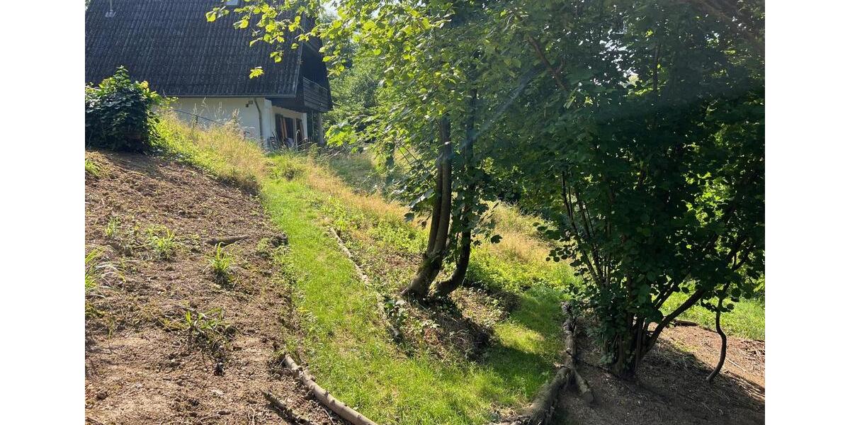 Einfamilienhaus Bad Soden am Taunus - 4 Zimmer, 90 m&sup2;, 800&euro; | Angebot:25337684