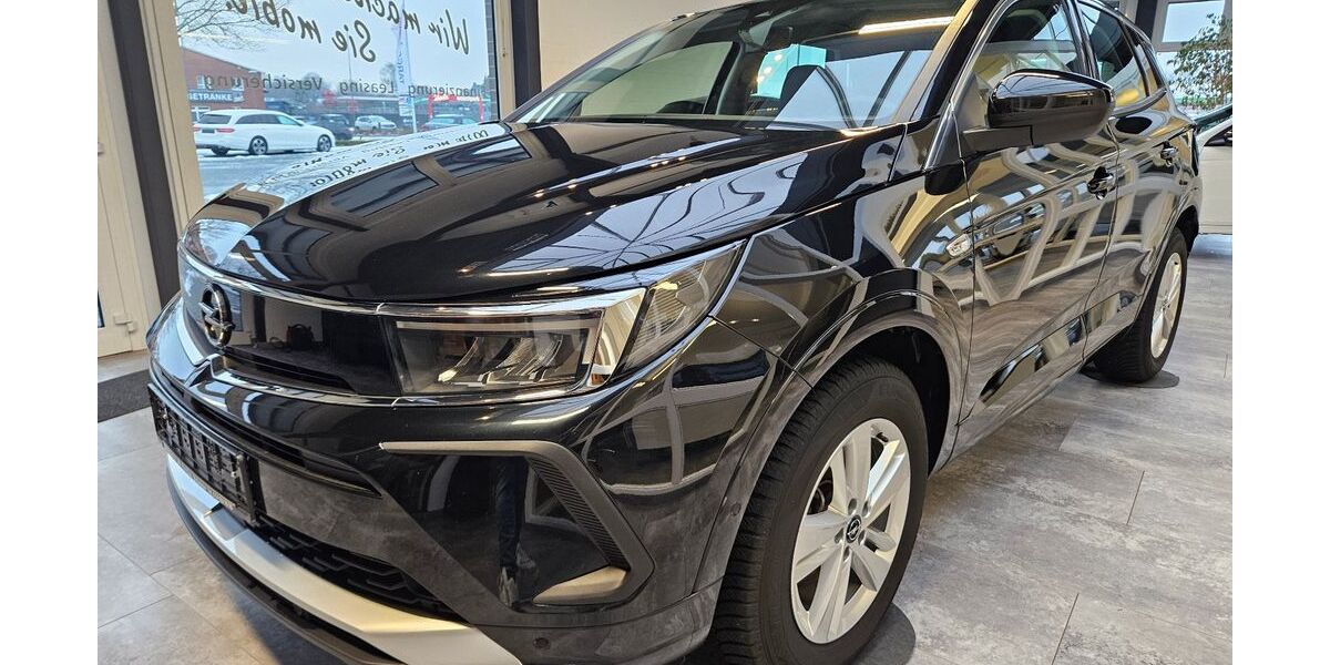 Opel Grandland (X) 30.745 km 21.990 &euro; Recke 49509