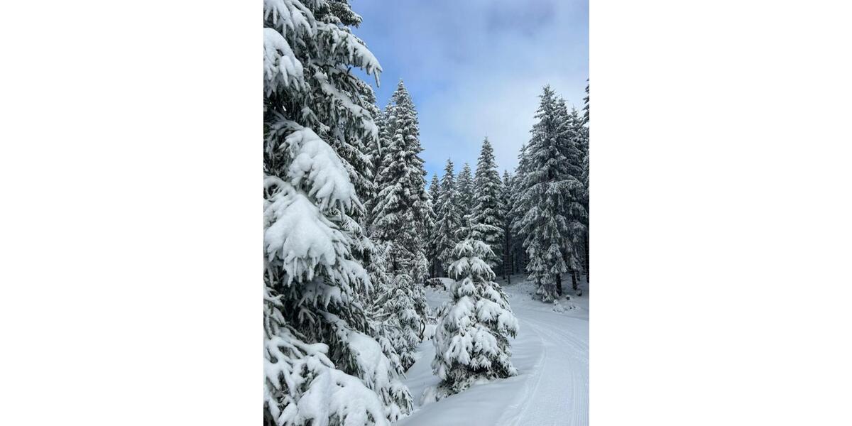 Doppelhaushälfte Großbreitenbach - 7 Zimmer, 131 m&sup2;, 750&euro; | Angebot:25026781