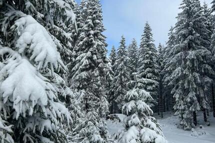 Haus Großbreitenbach - 7 Zimmer, 131 m&sup2;, 750&euro; | Angebot:25026781