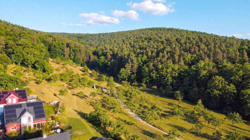 Einfamilienhaus Lohr am Main Sackenbach - 5 Zimmer, 161 m&sup2;, 695.000&euro; | Angebot:26673405