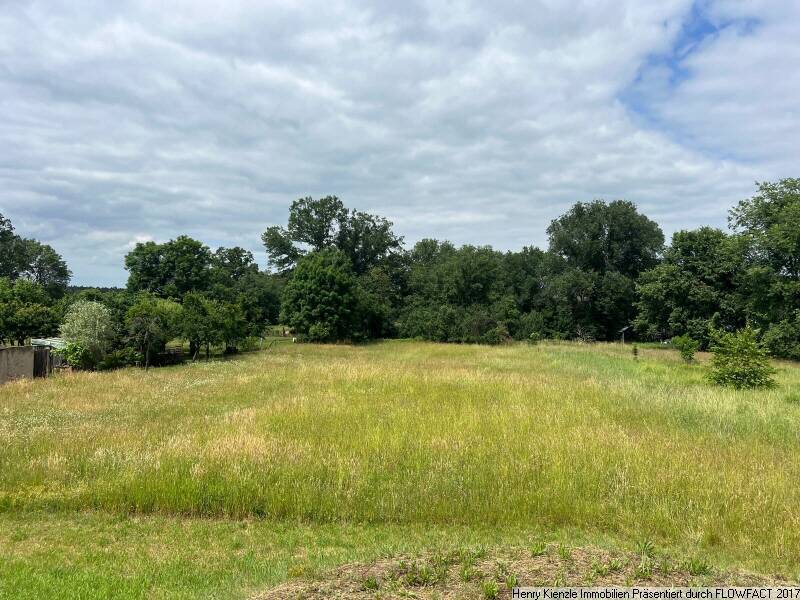 Tolles Baugrundstück in Neu-Seeland unweit von Sedlitzer See gelegen! zimmer