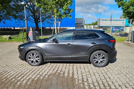 Mazda CX-30 25.000 km 25.900 &euro; Fellbach 70736