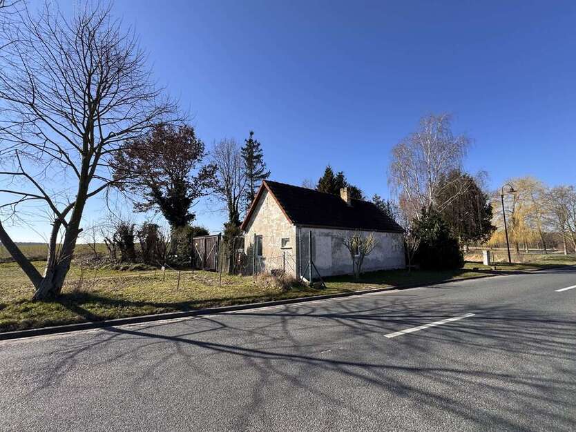 Haus zum Kaufen in Lutherstadt Wittenberg 54.000 € 34 m²