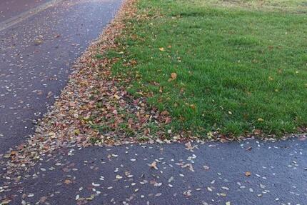 Grundstück Alsleben (Saale) - 48.600&euro; | Angebot:20622871