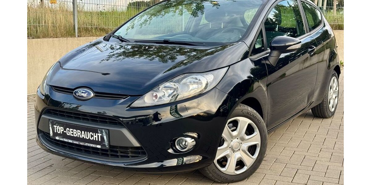 Ford Fiesta 219.086 km 2.900 € Lichtenau 33165