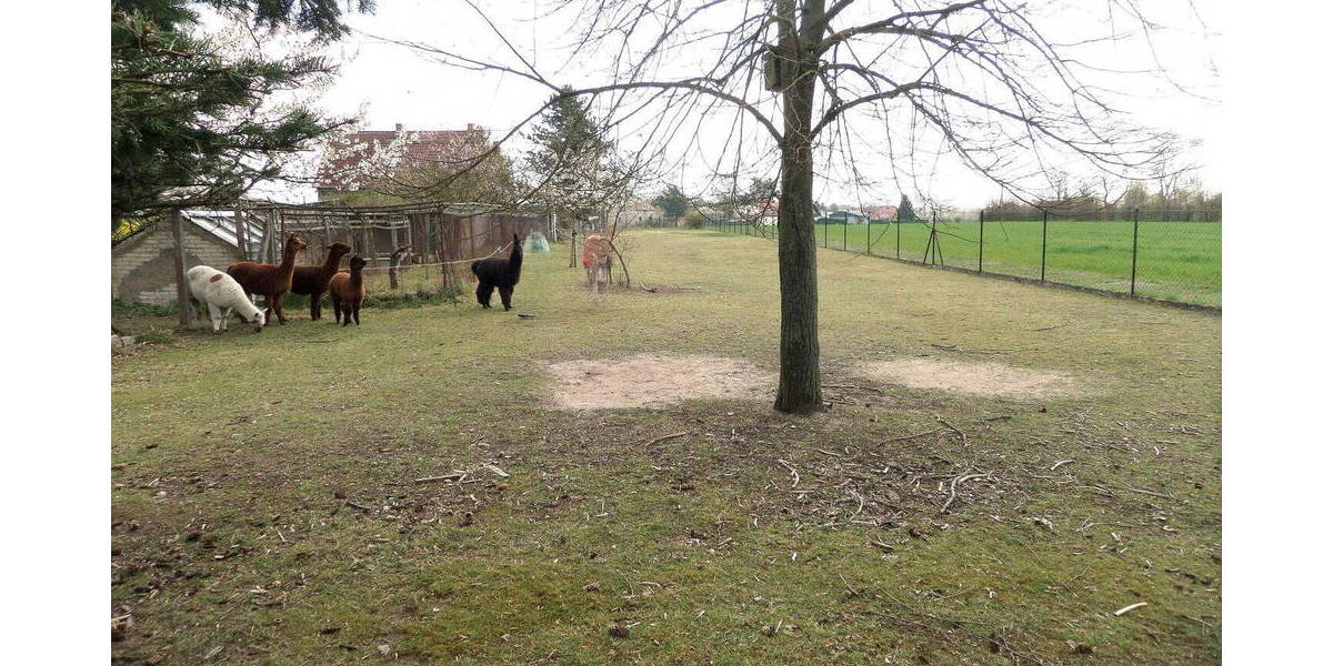 Einfamilienhaus Doberlug-Kirchhain Kirchhain - 4 Zimmer, 79 m&sup2;, 81.999&euro; | Angebot:26344112