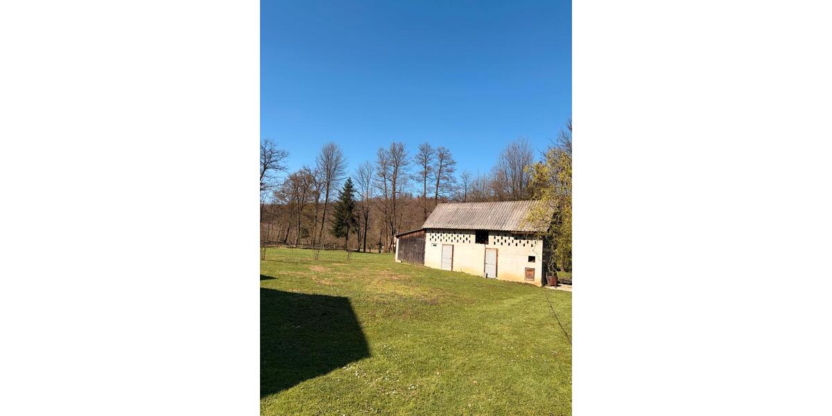 Etagenwohnung Bonndorf im Schwarzwald - 4 Zimmer, 150 m&sup2;, 250&euro; | Angebot:26136009