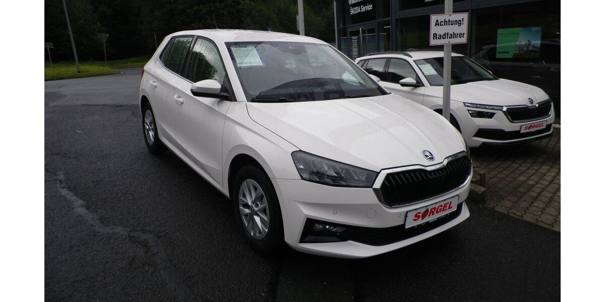 Skoda Fabia 43.900 km 18.370 &euro; Bad Elster 08645