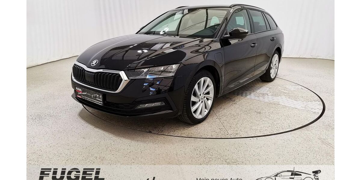 Skoda Octavia 100.250 km 17.495 &euro; Chemnitz - Mittelbach 09224
