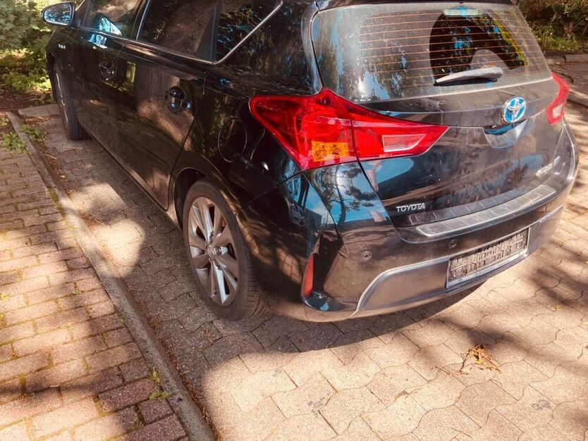 Auris
