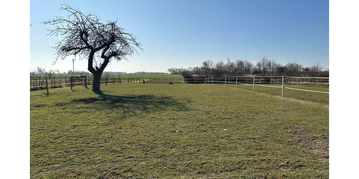 Mehrfamilienhaus, Wohnhaus Bruchhausen-Vilsen Uenzen - 299.000&euro; | Angebot:25835069